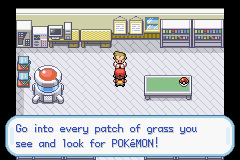 screenshots/Game Boy Advance/Pokemon - FireRed - LeafGreen/Pokemon FireRed (Eng) (Squirtle) 010.png